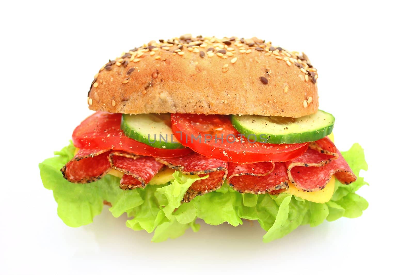 Fresh sandwich with salami cheese and vegetables