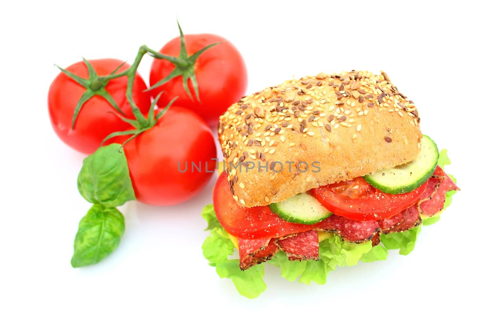 Fresh sandwich with salami cheese and vegetables