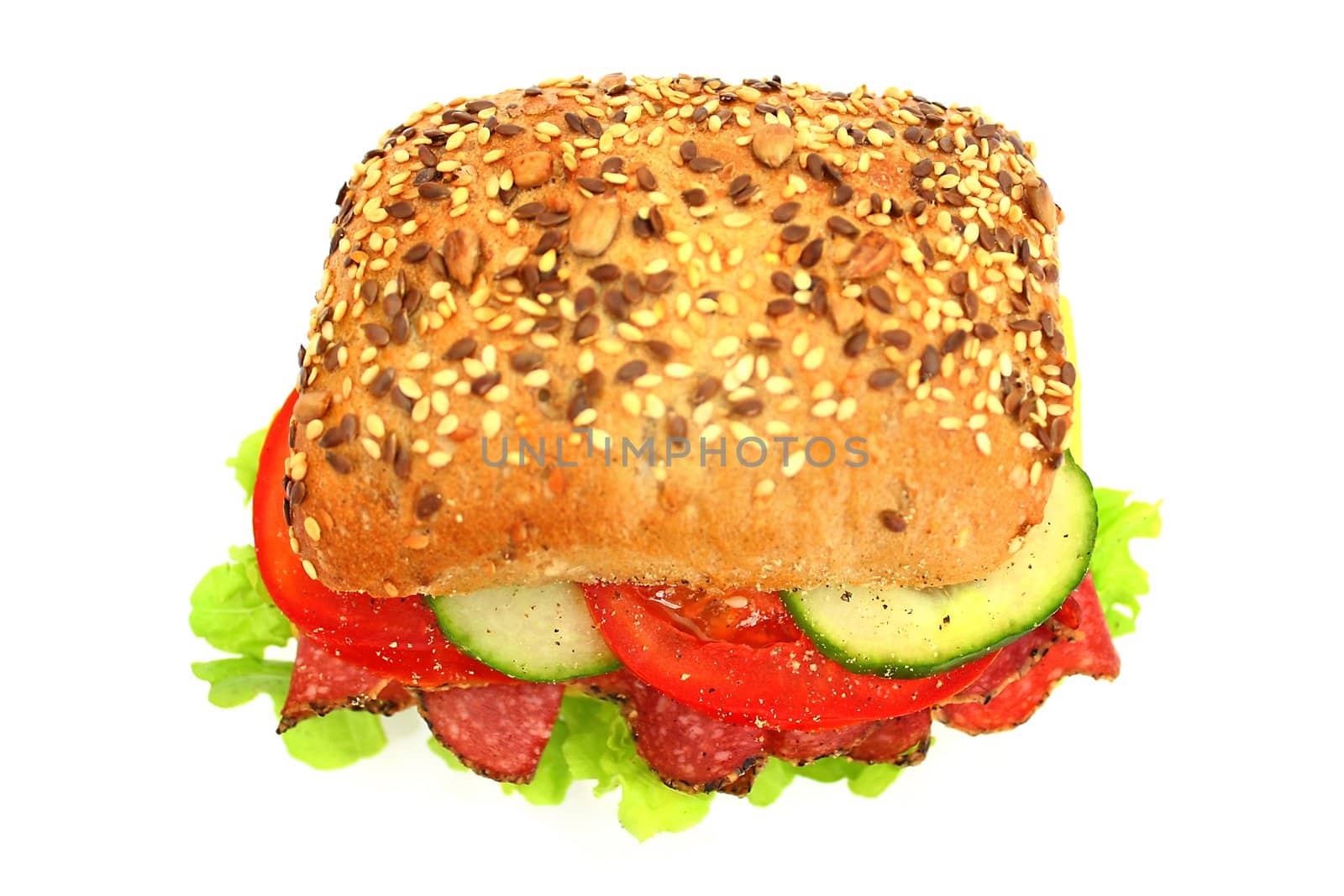 Fresh sandwich with salami cheese and vegetables