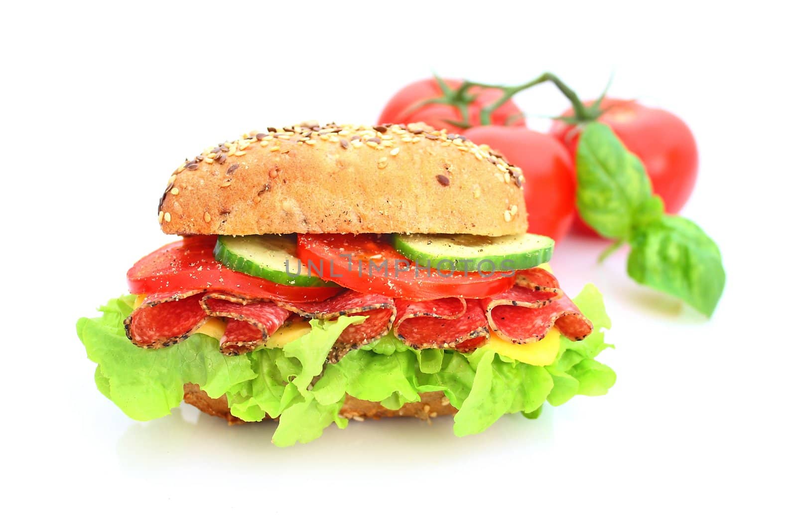 Fresh sandwich with salami cheese and vegetables