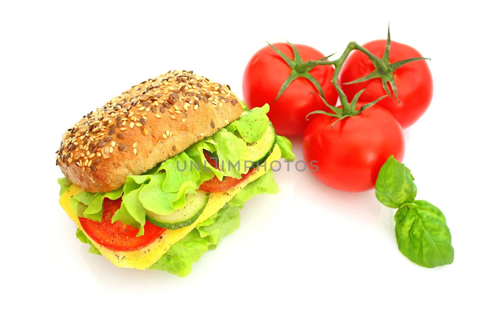 Fresh sandwich with cheese and vegetables