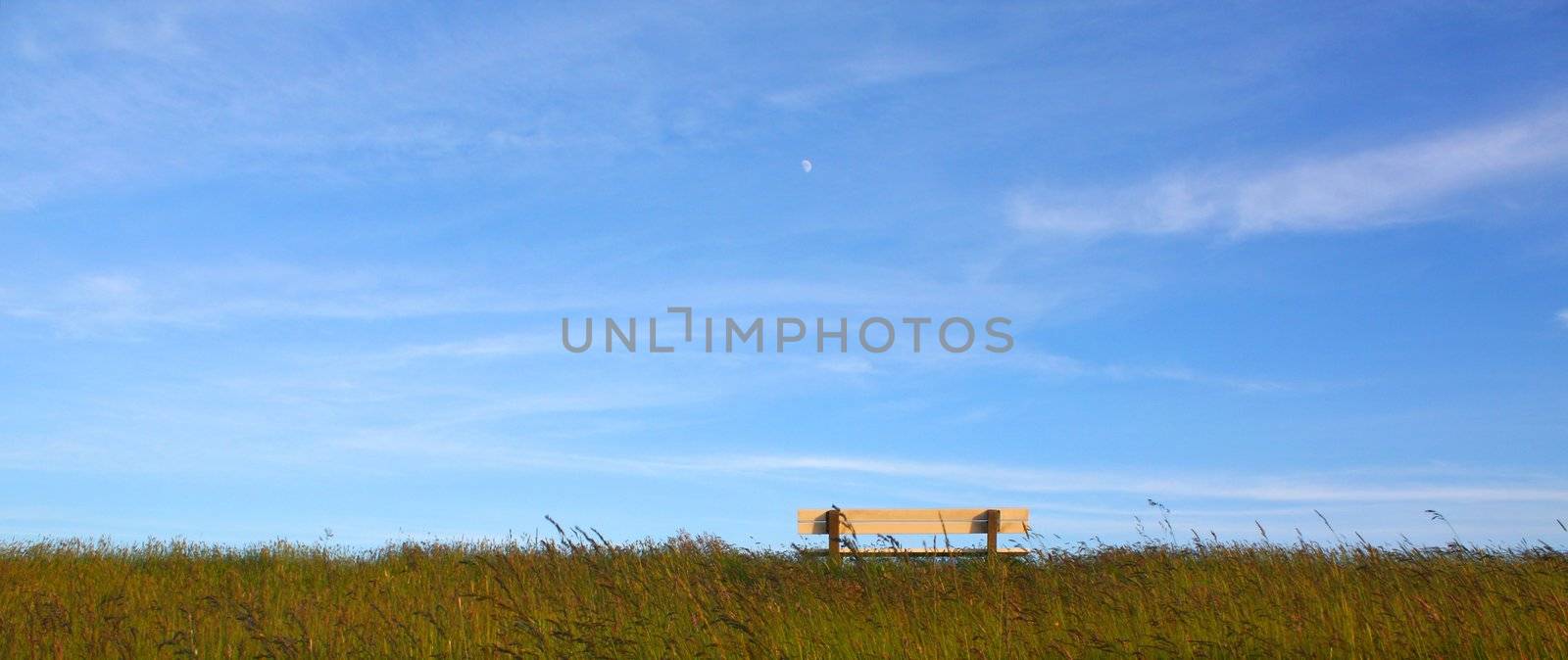 Idyllic lawn with bench