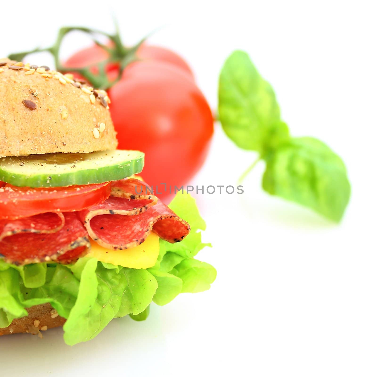 Fresh sandwich with salami cheese and vegetables