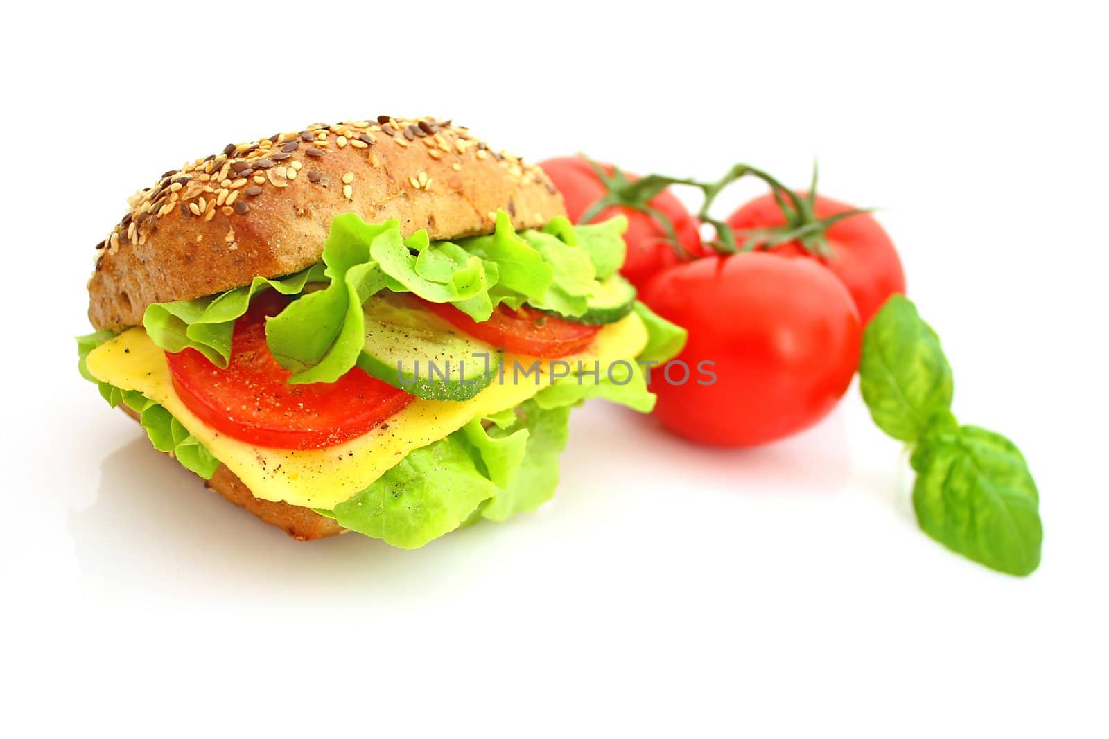 Fresh sandwich with cheese and vegetables by juweber