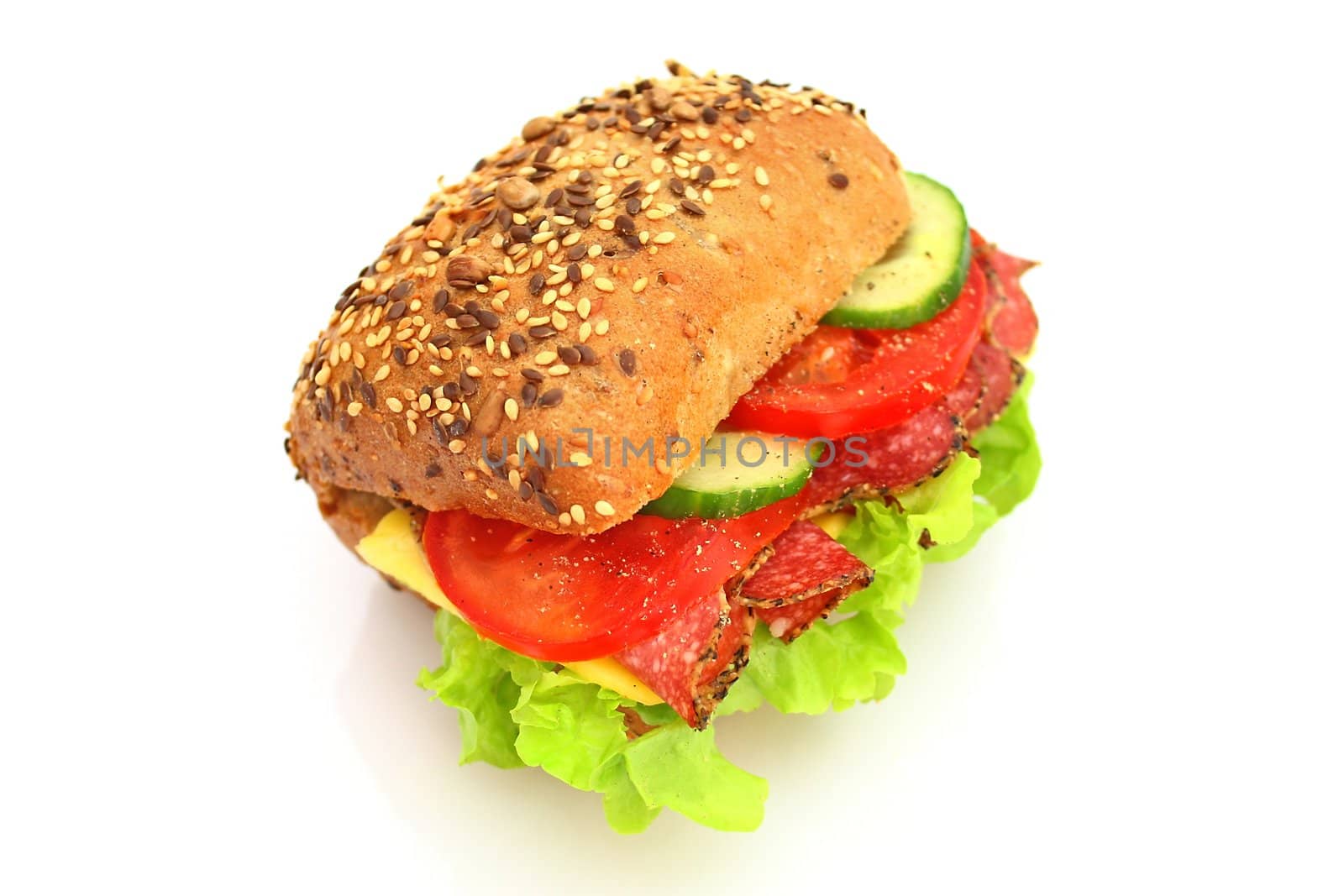 Fresh sandwich with salami cheese and vegetables