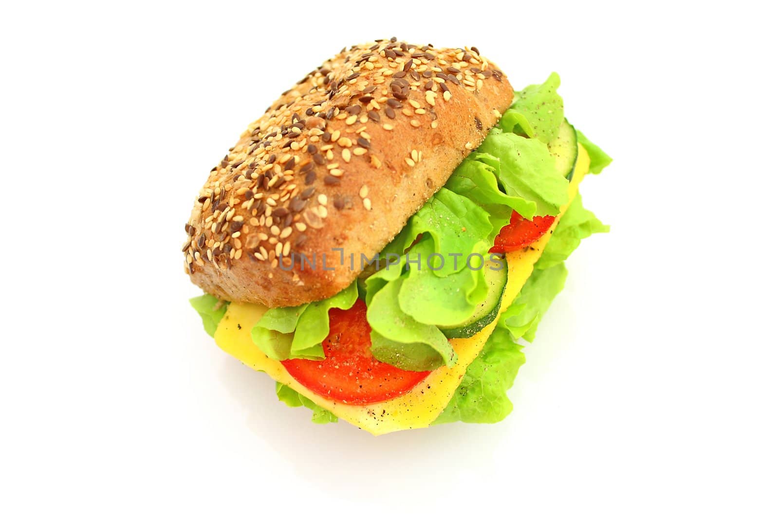 Fresh sandwich with cheese and vegetables