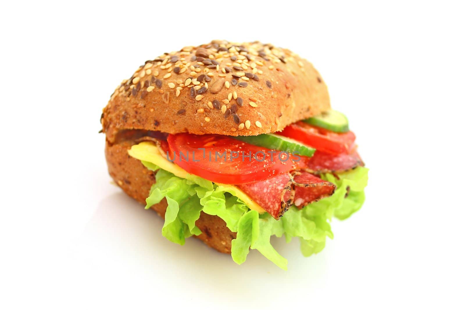 Fresh sandwich with salami cheese and vegetables