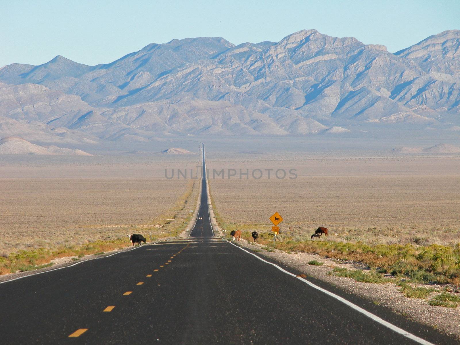 Extraterrestial Highway, 2005 by jovannig