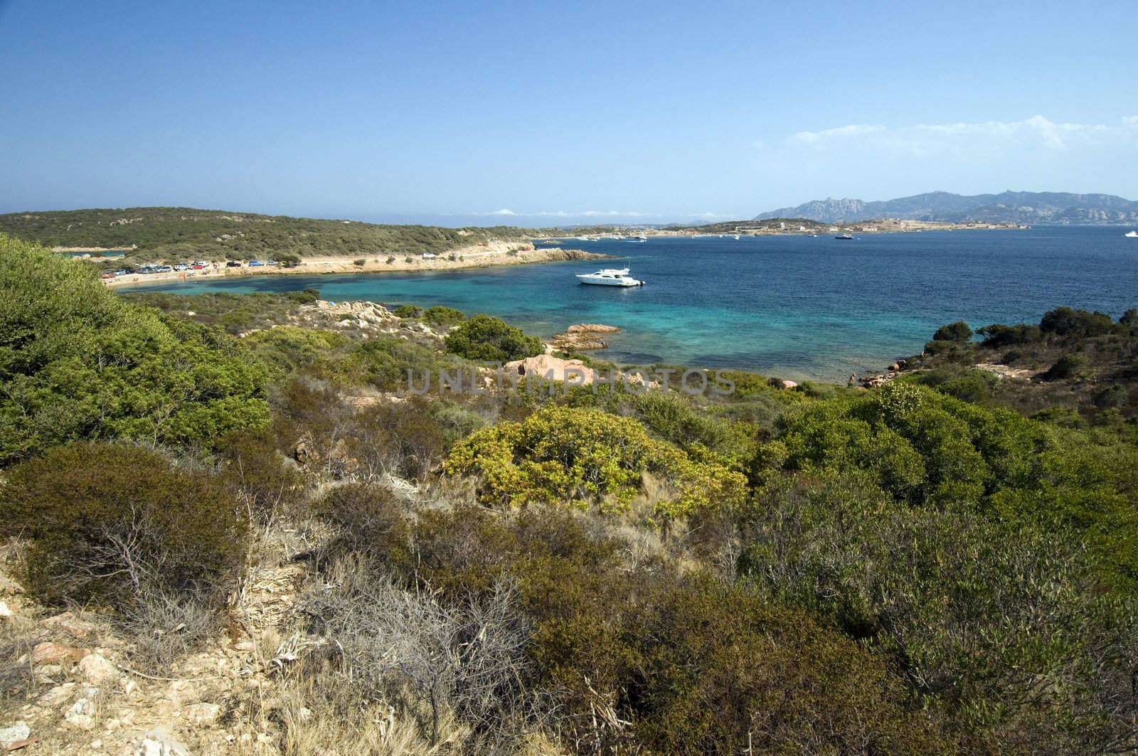 Mediterranean scrub vegetation and fantastic blue sea in Caprera island - Archipelago of La Maddalena - Best of Italy