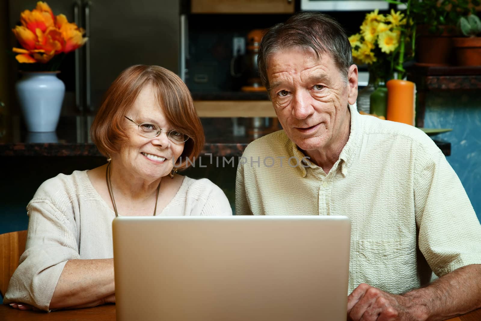 Senior couple using silver laptop computer at home