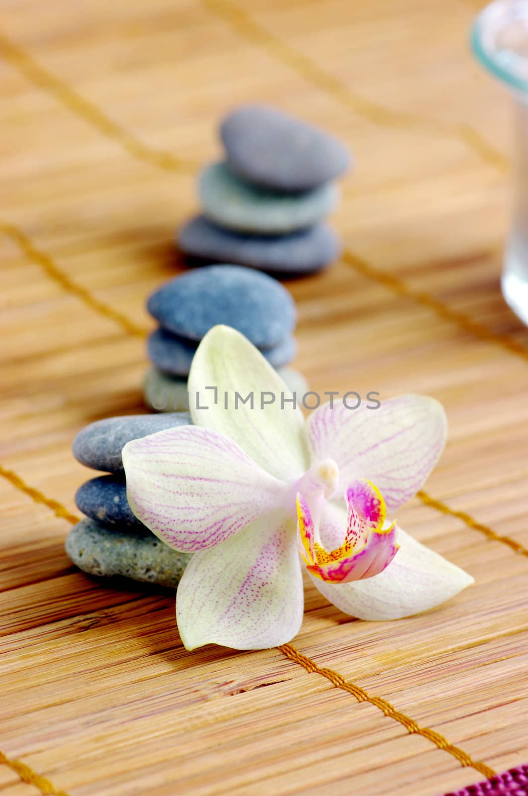 spa concept with orchids and stones on wet wooden background
