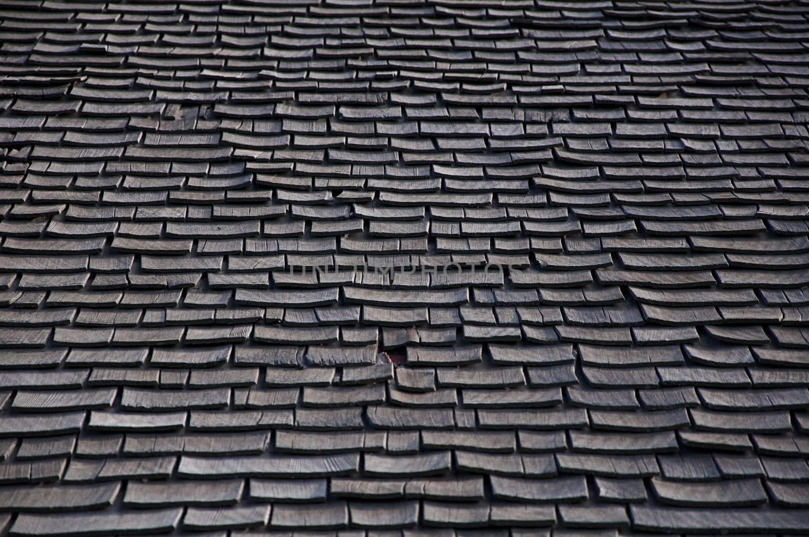 The texture of wooden roof shingles makes a nice background image.
