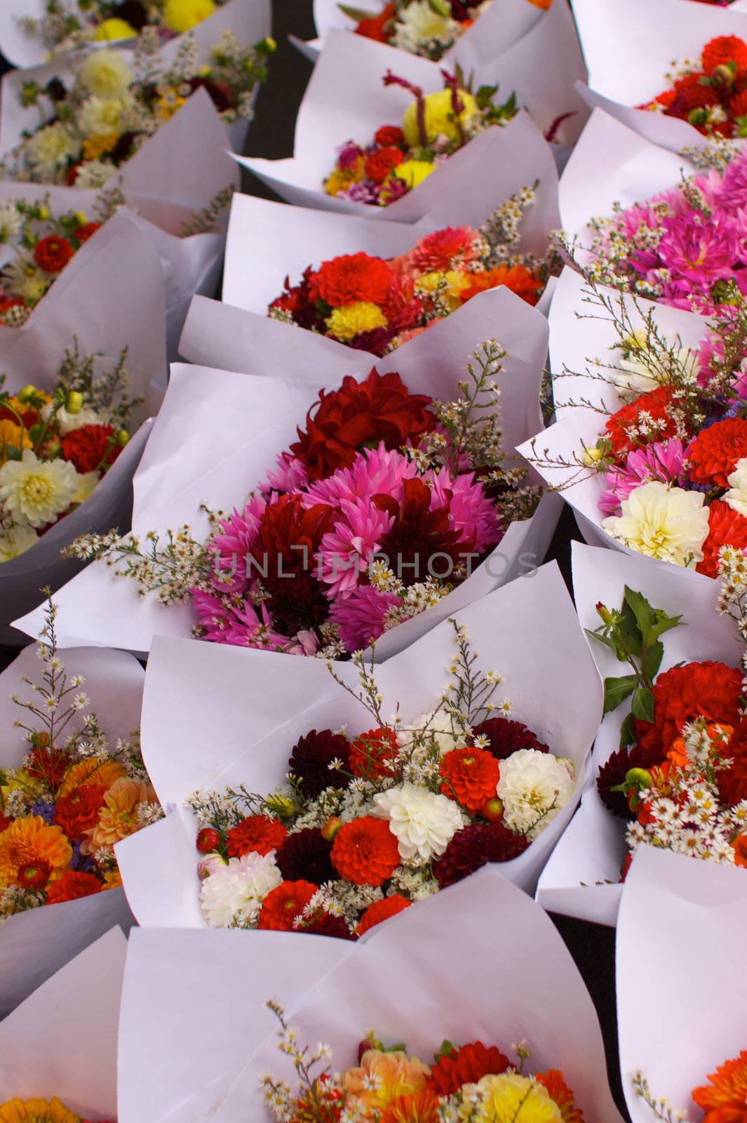 rows of flower bouquets at the farmers market
