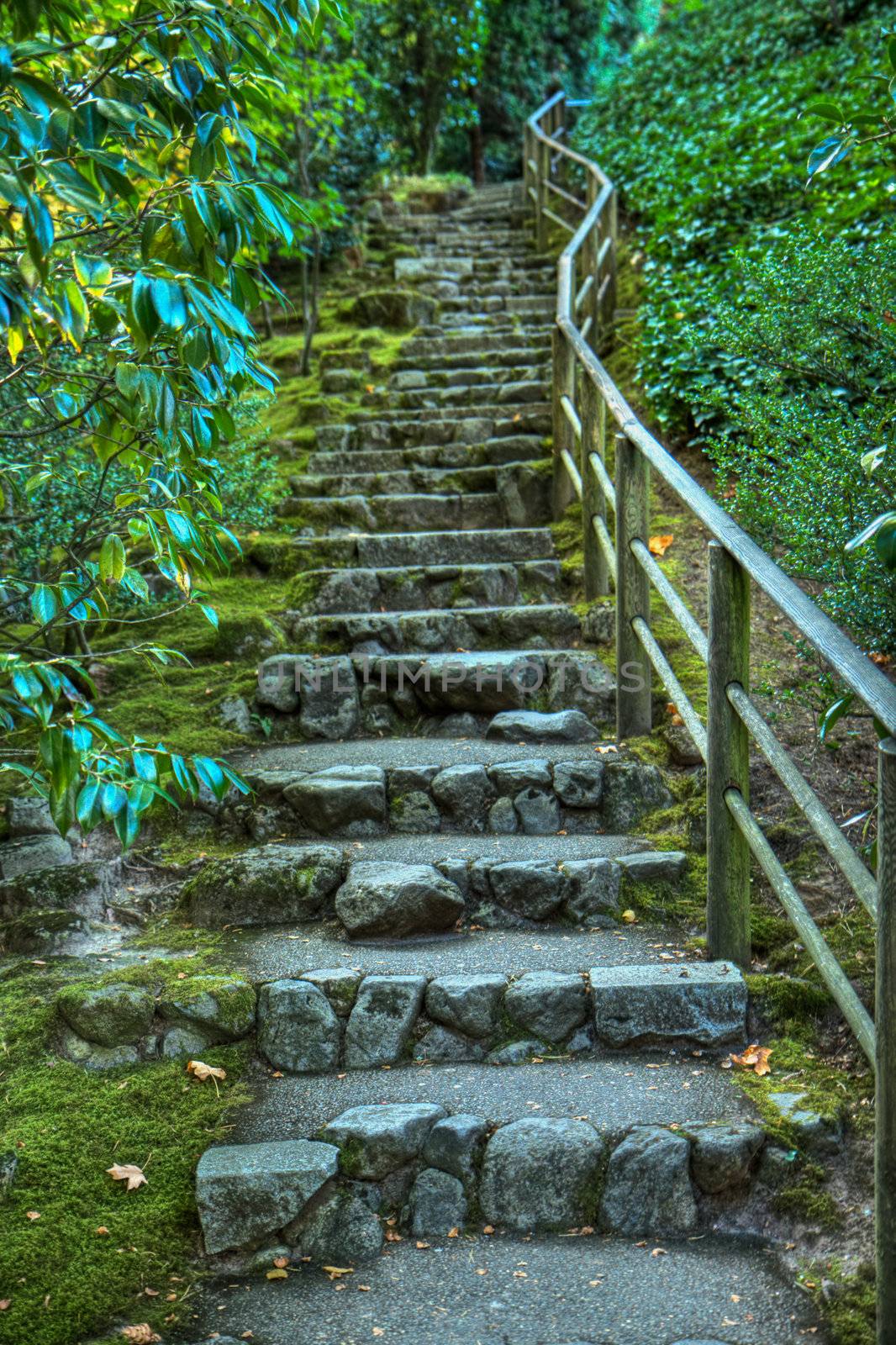 Japanese garden stone staircase HDR by bobkeenan