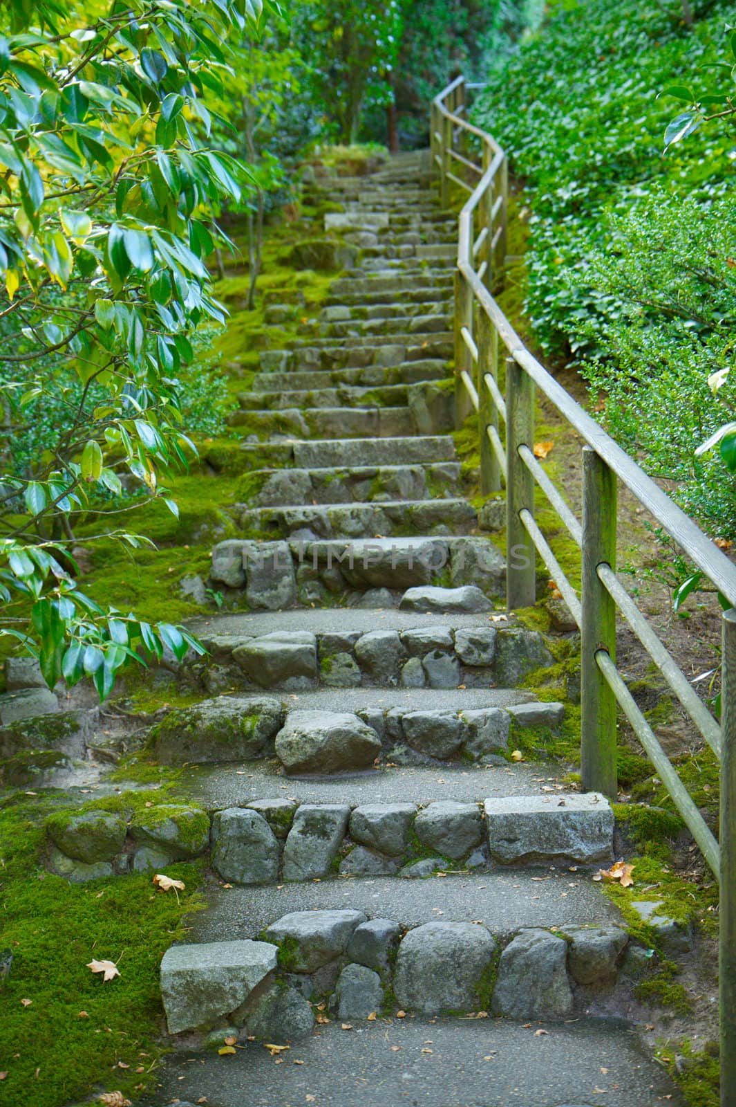 Japanese garden stone staircase covered in moss and surrounded by green foilage