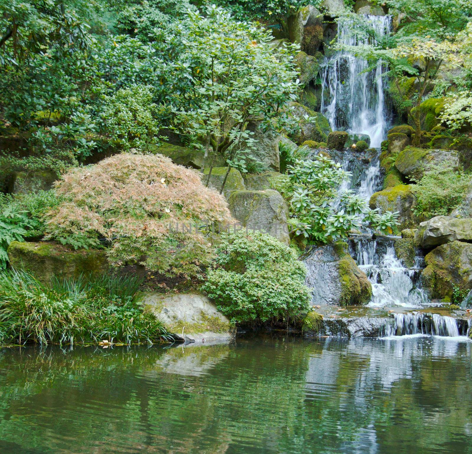 Japanese garden waterfall sqr rt by bobkeenan
