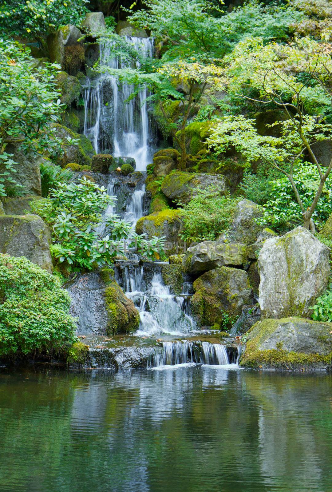 Japanese garden waterfall emptying into green pond