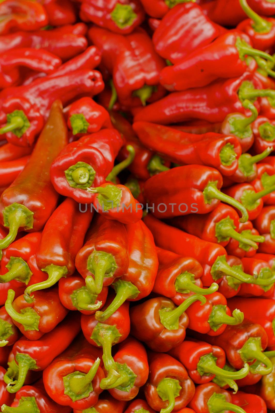 pile of red chili peppers by bobkeenan