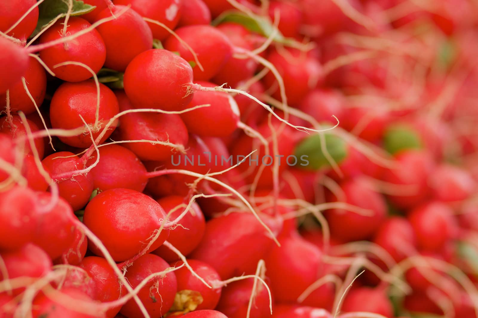 Pile of red radishes at the farmers market