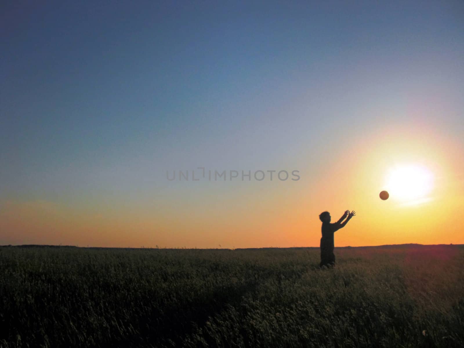 Field by juweber