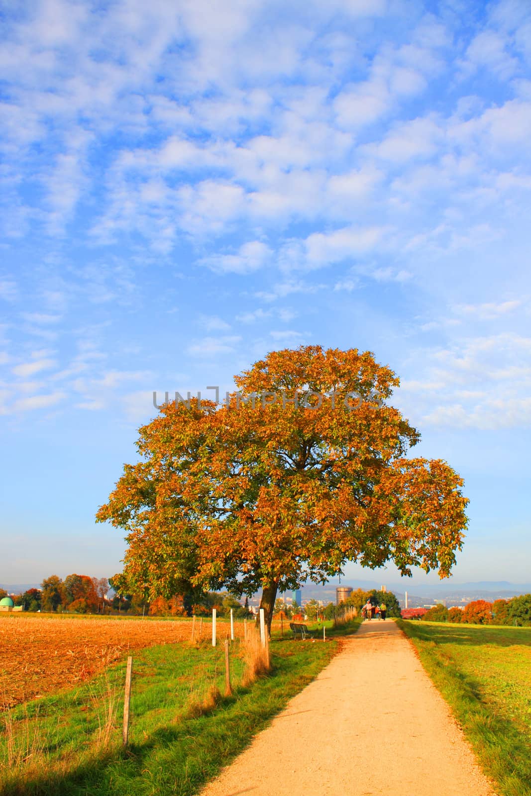 Autumn by juweber