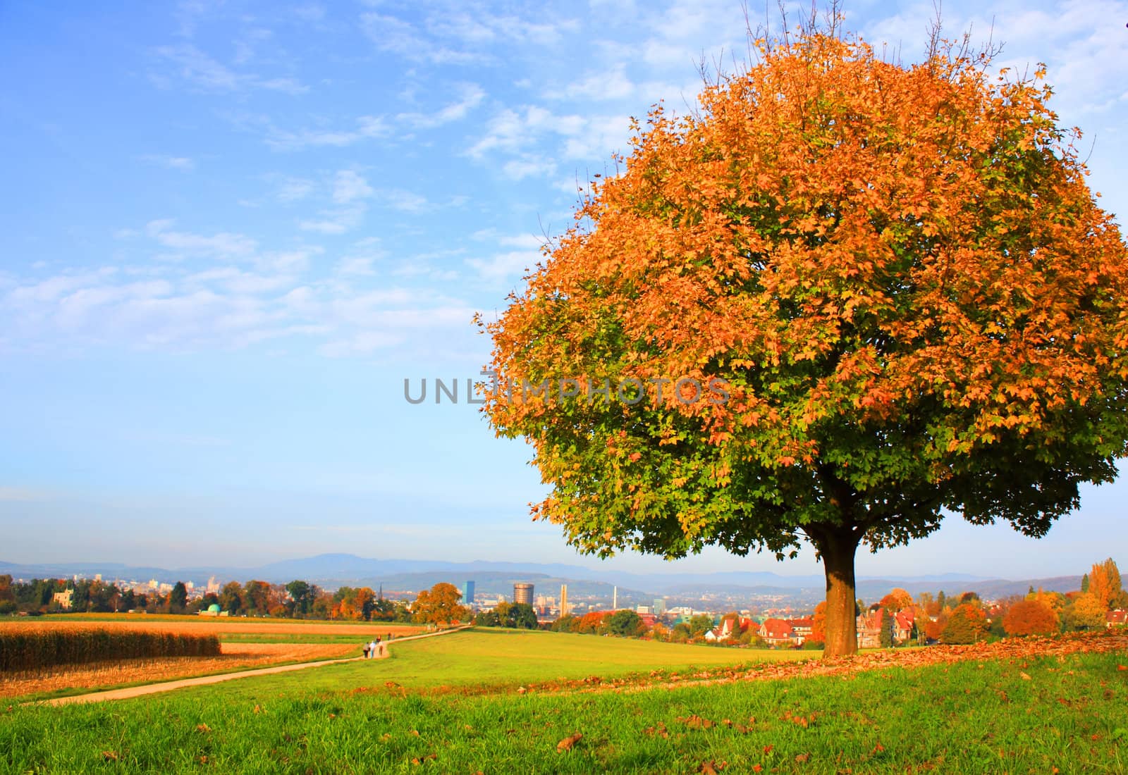 Autumn by juweber
