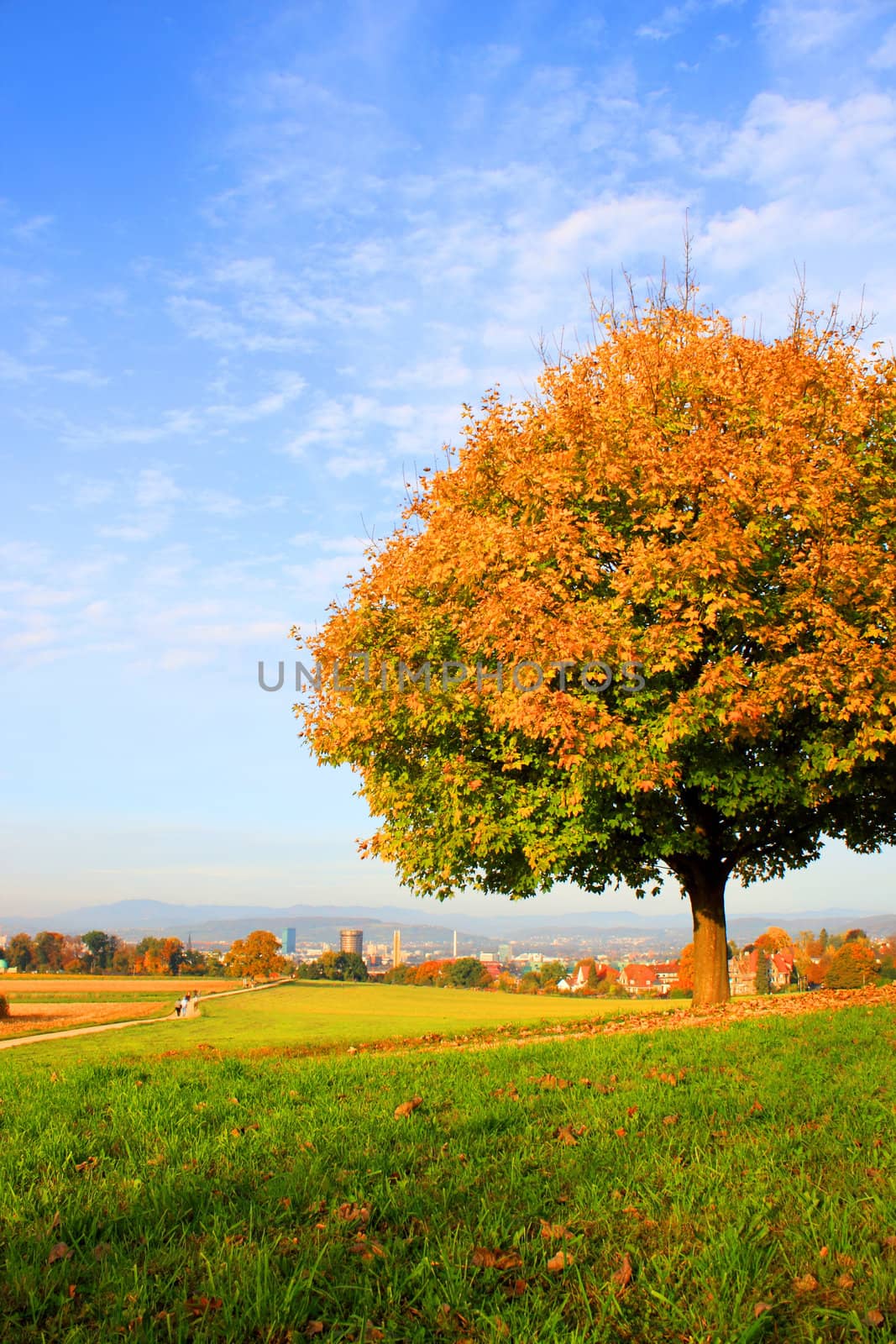 Autumn by juweber