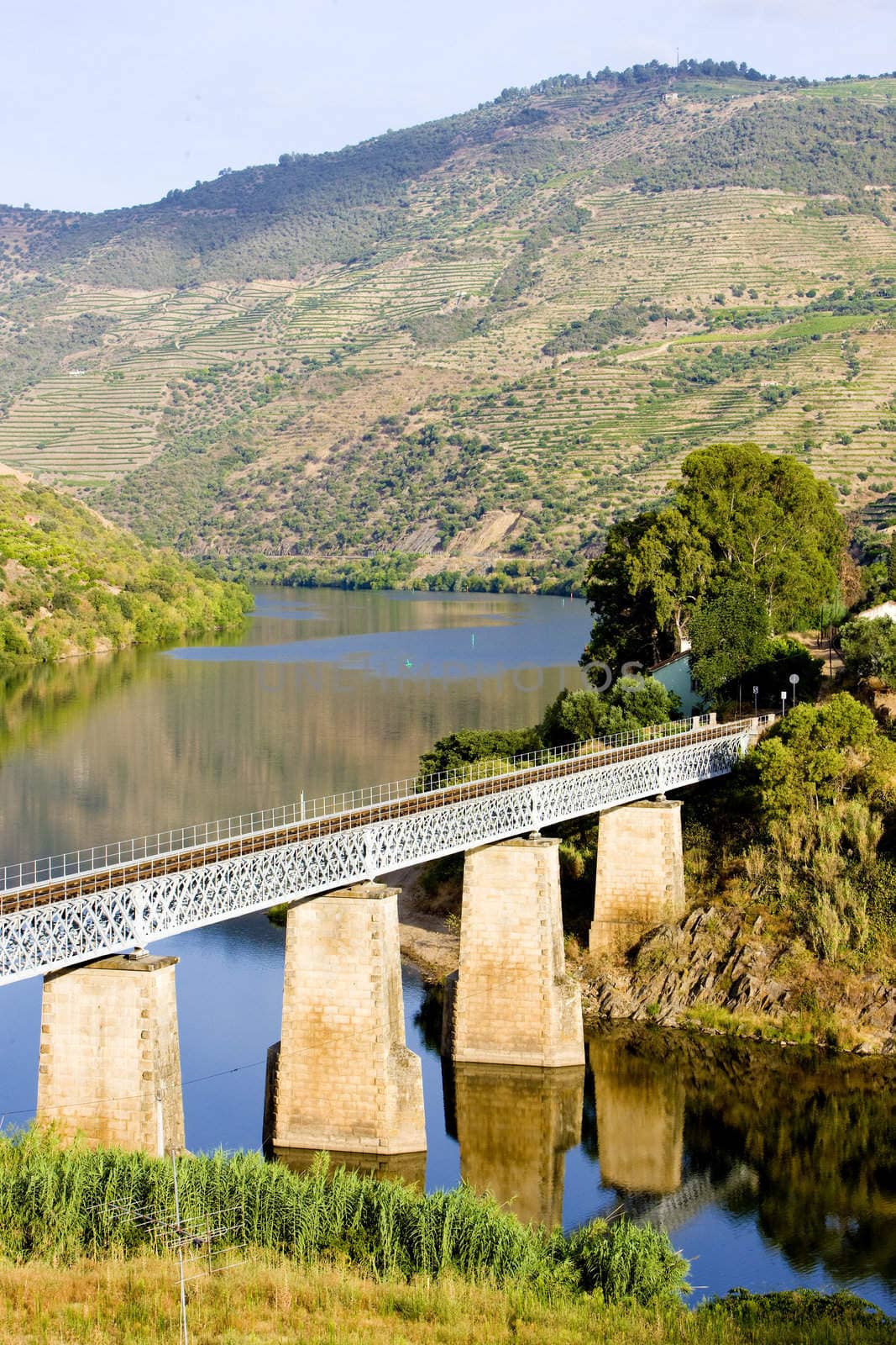 railway viaduct in Douro Valley, Portugal