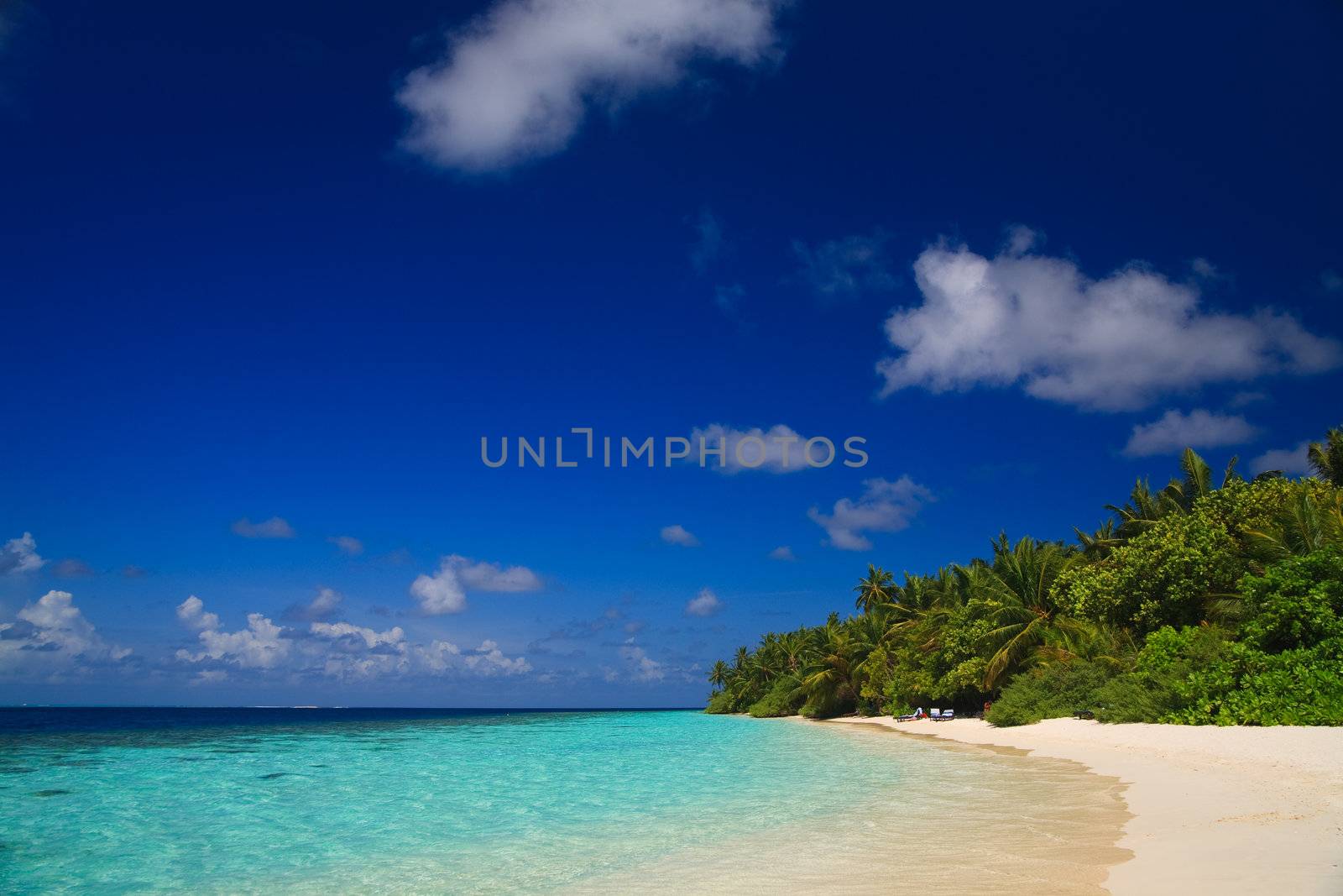 Tropical Paradise at Maldives with palms and blue sky