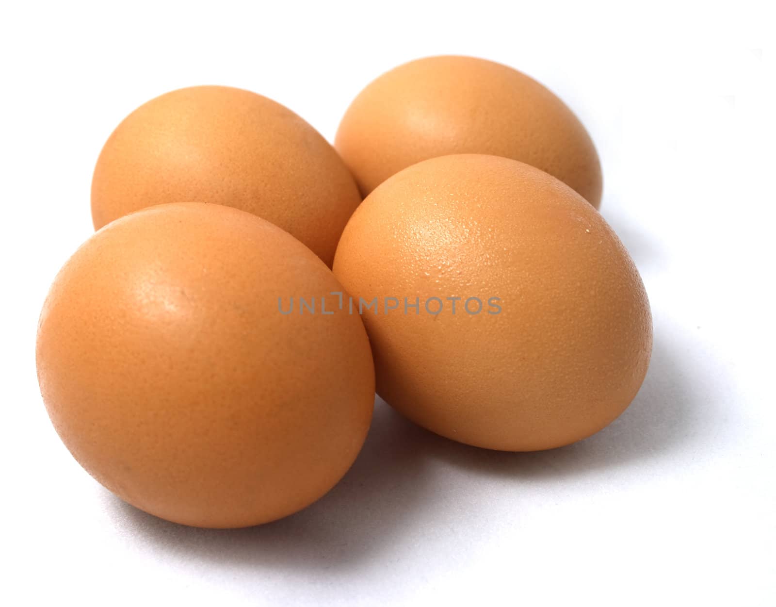 Four eggs on white background