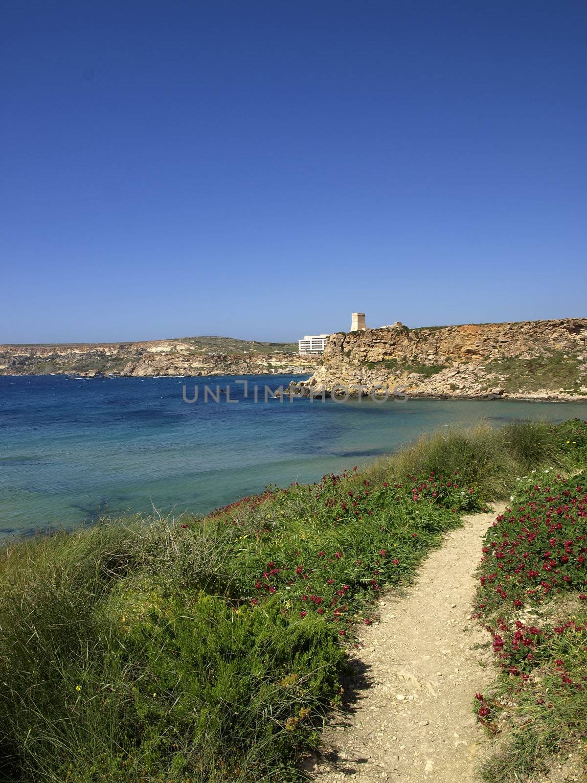 Typical summer landscape and scenery from the coast in Malta.