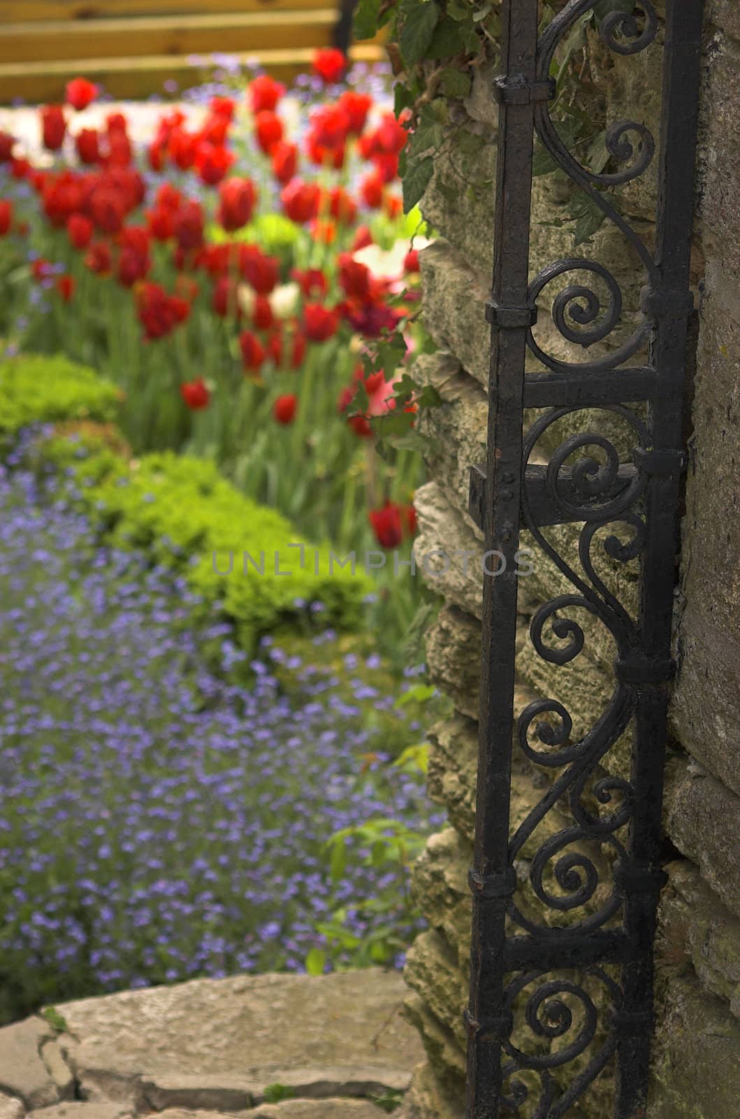 detail of flower garden on old castle