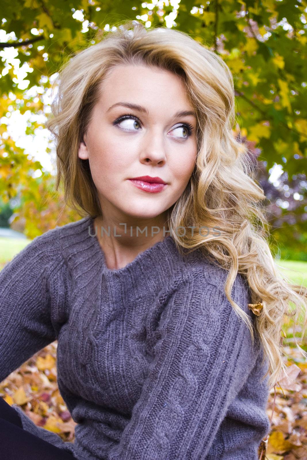Beautiful woman in the park with the autumn leaves