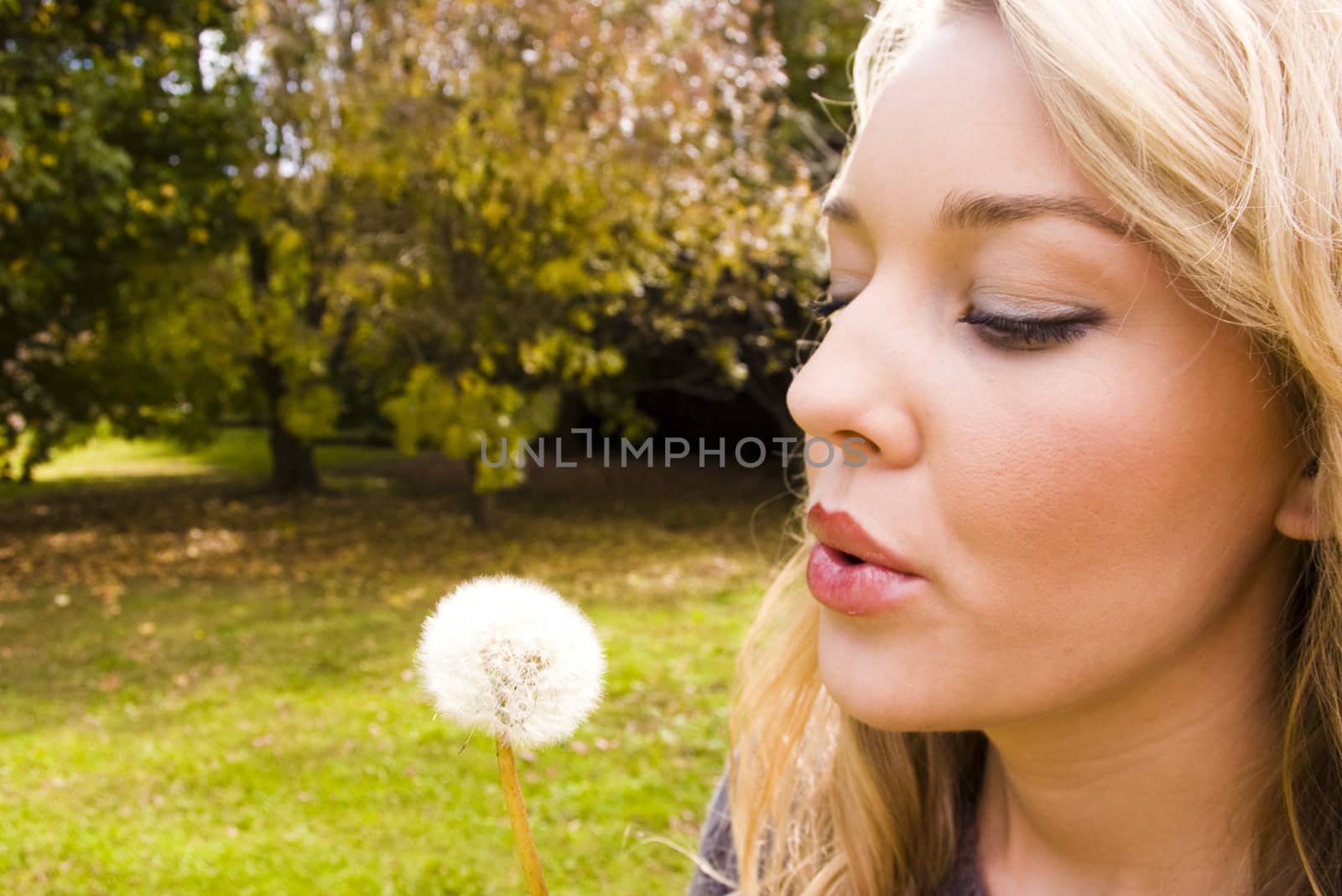 blowing a flower in the park