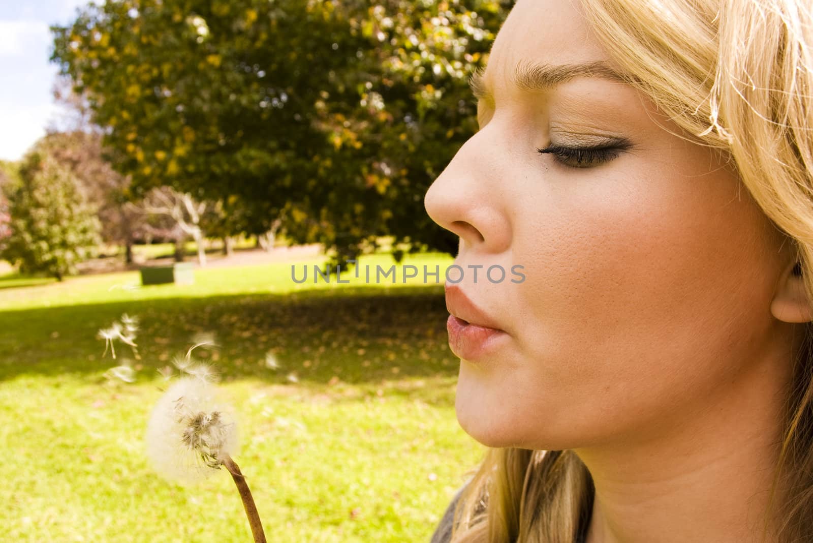 blowing a flower in the park