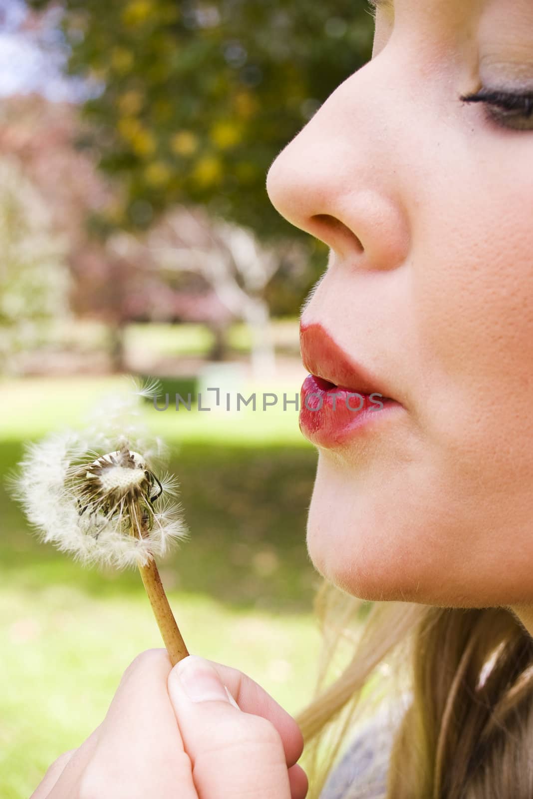 woman blowing a flower