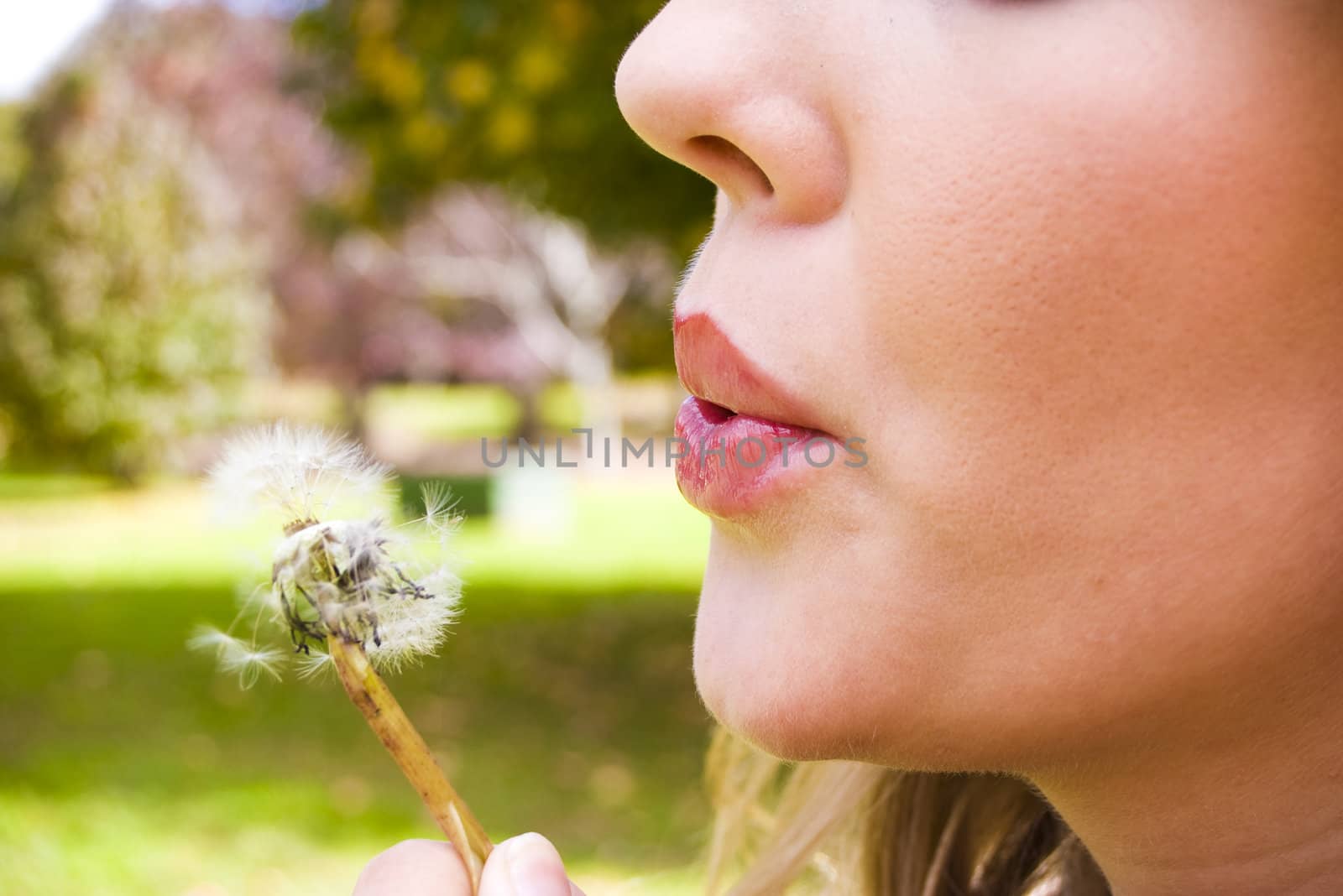 woman blowing a flower