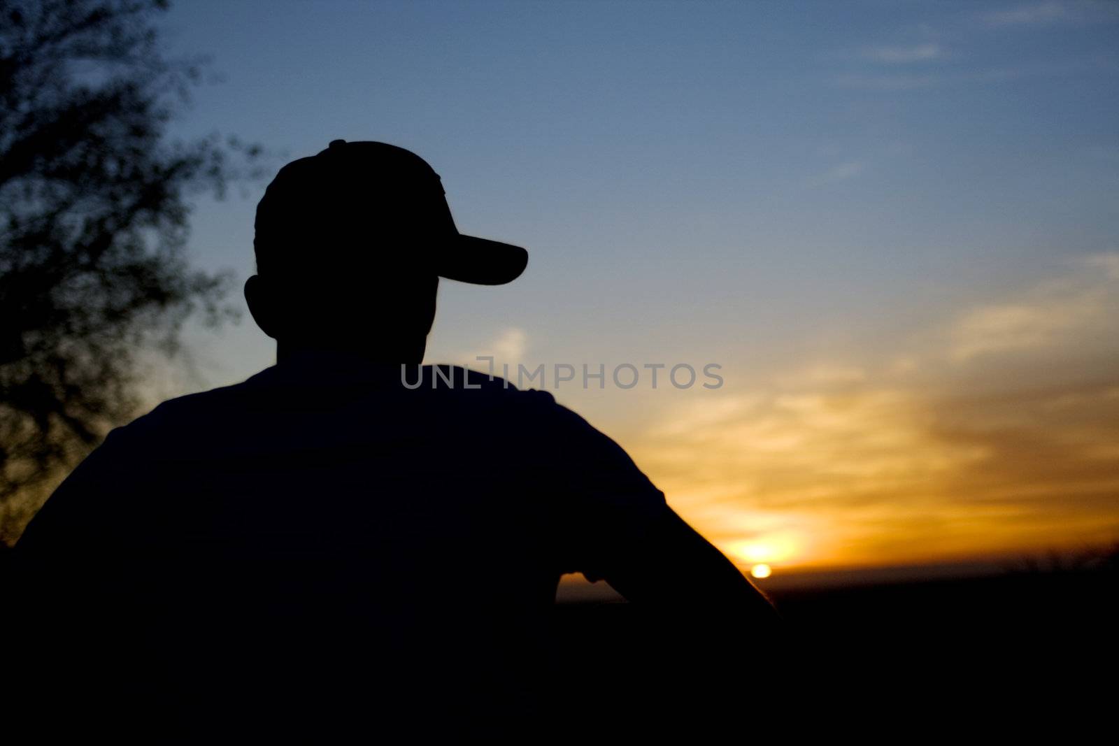 Juvenile watching the setting sun.