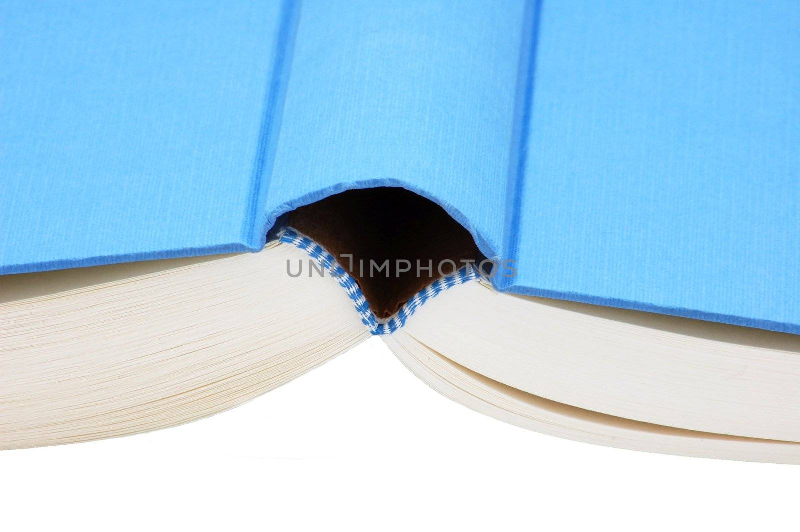 lying book isolated on the white background