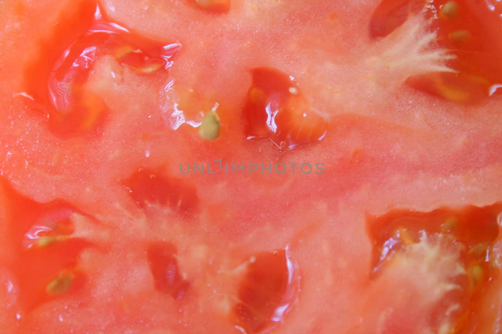 close up of a tomato

