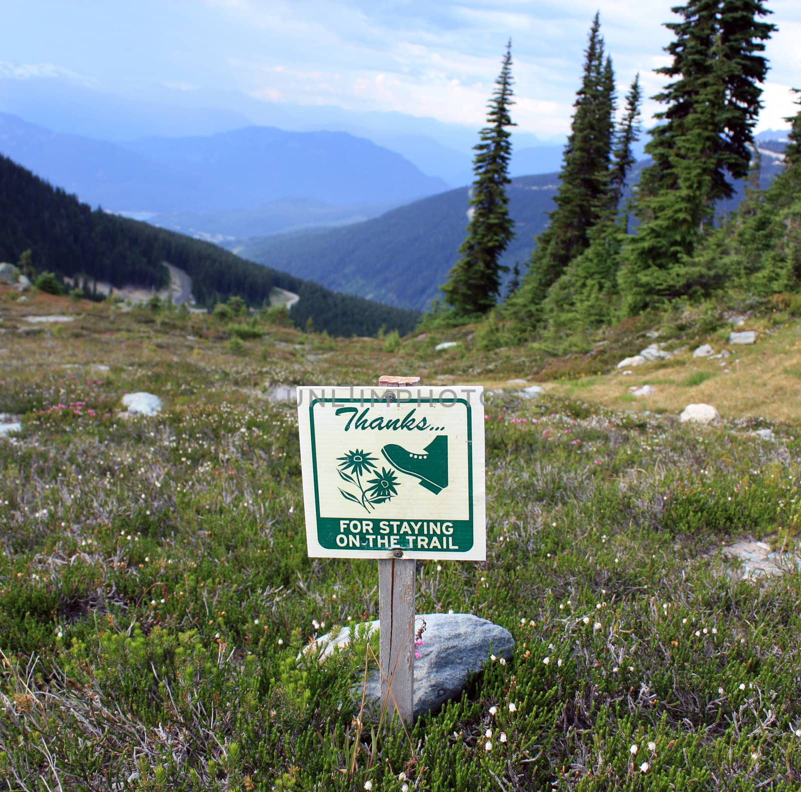 'Thanks For Staying On The Trail' Sign