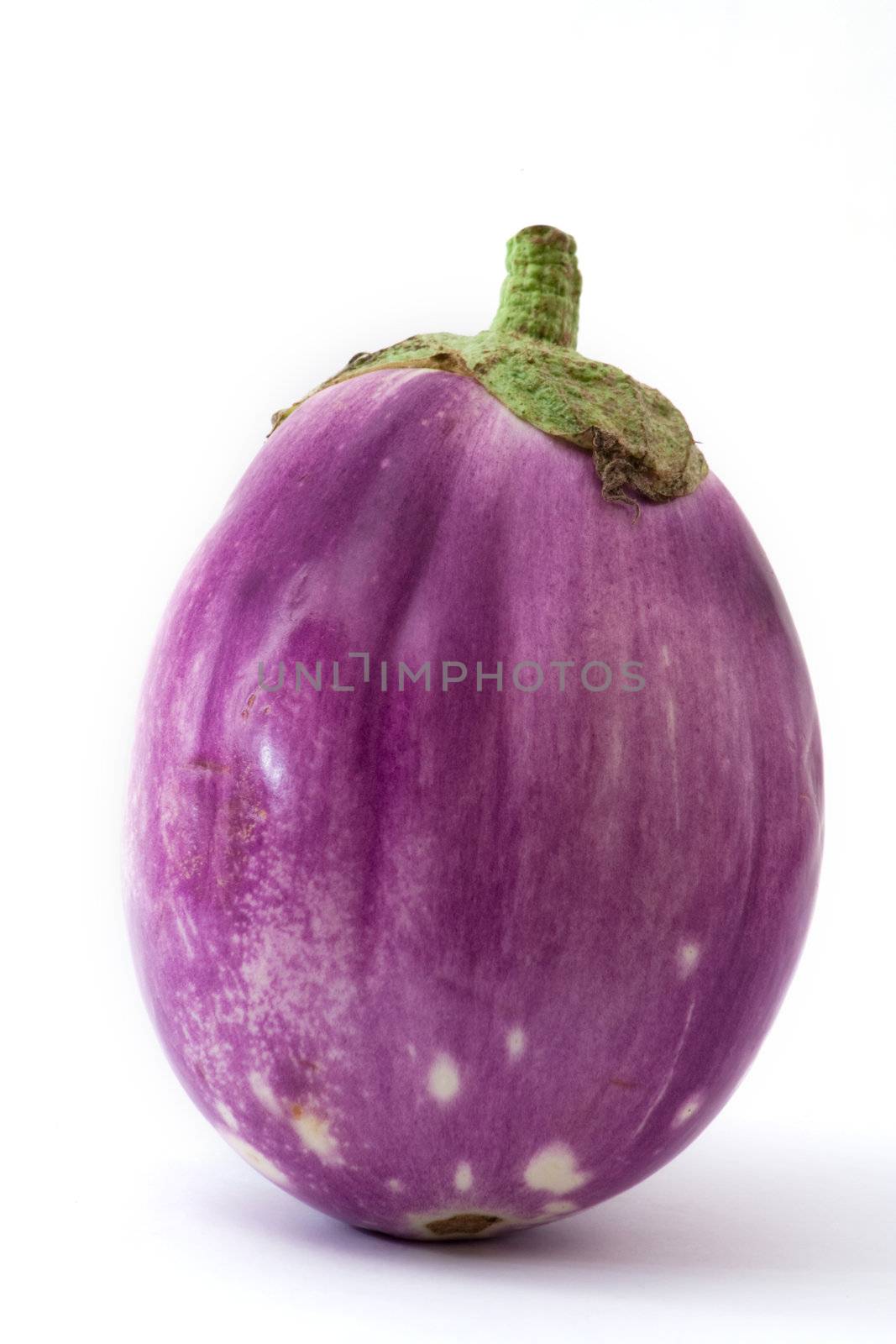bright purple eggplant on a white background
