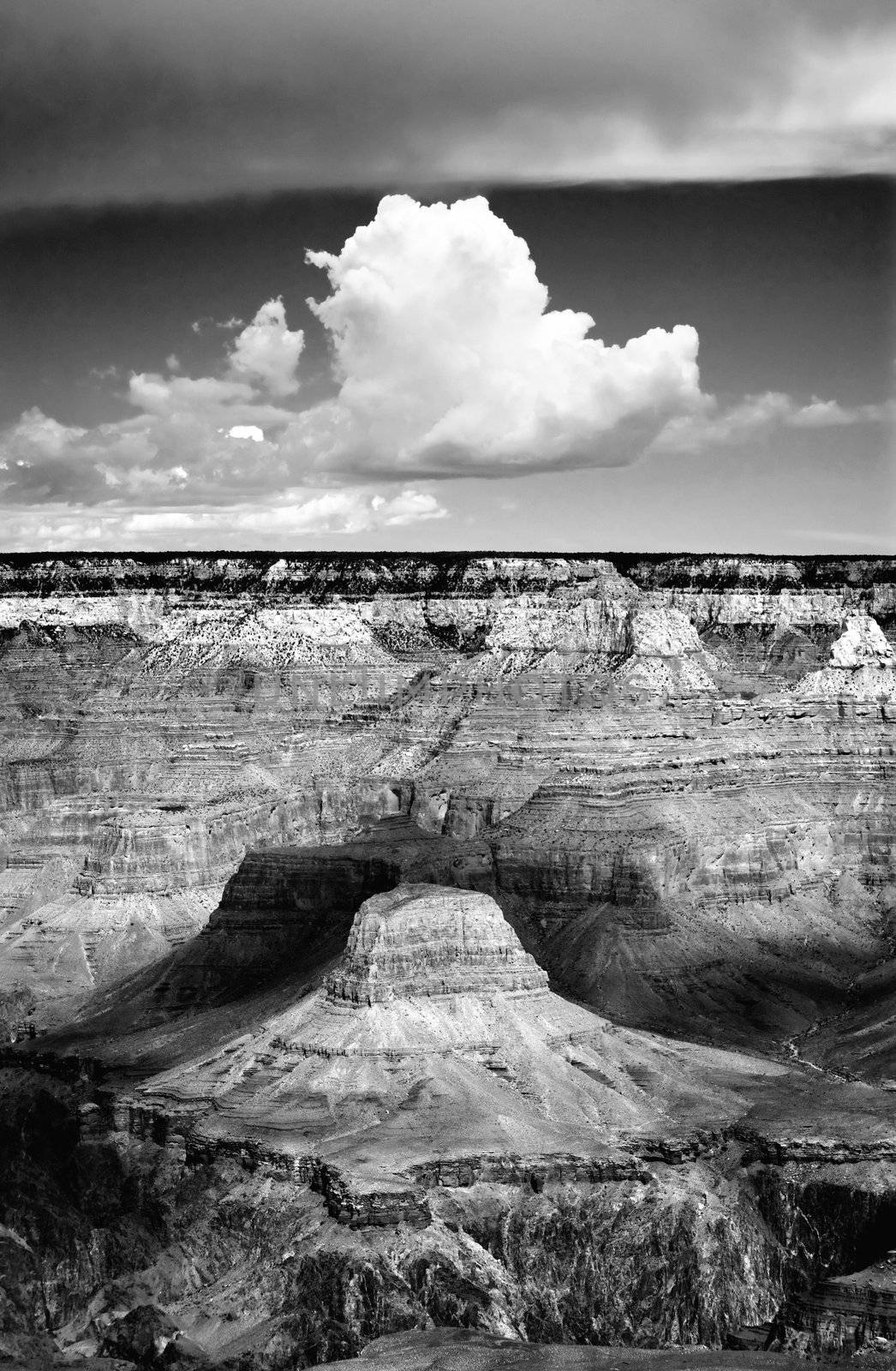 Large cumulus cloud formation above the Grand Canyon