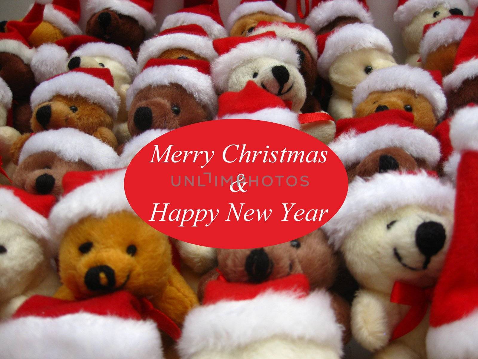 Christmas bears on a ready made christmas greeting