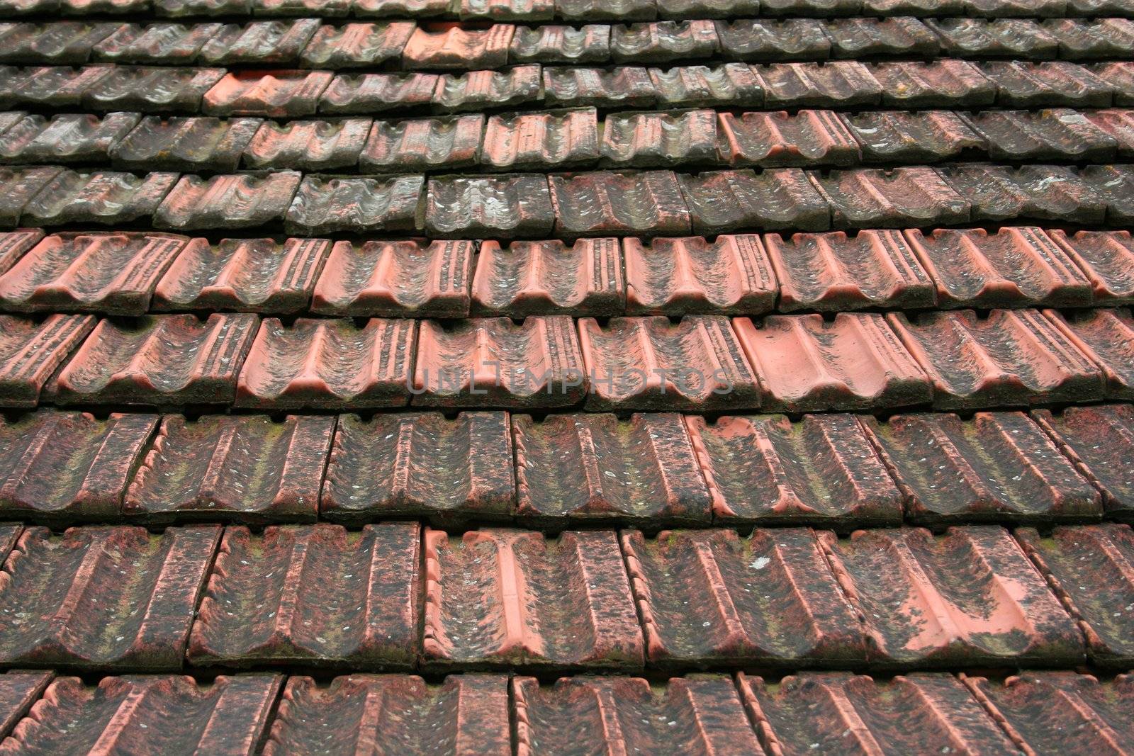 roof coated by rooftiles by furzyk73