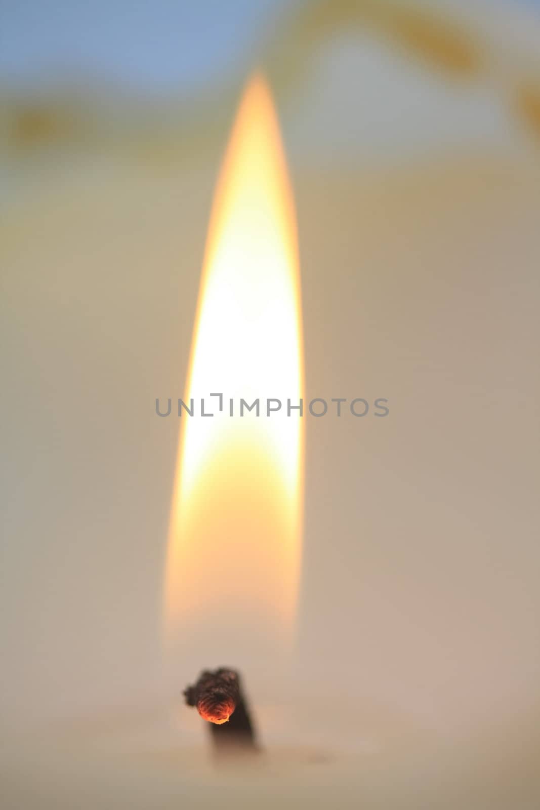 Close up of a burning ivory white candle 