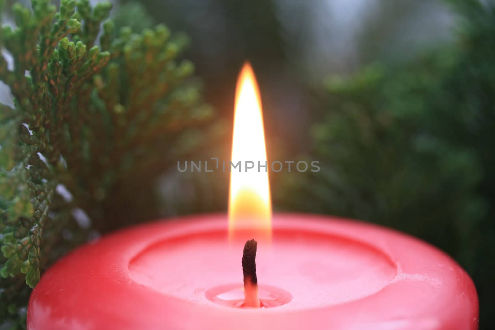 A red candle and some christmas leaves