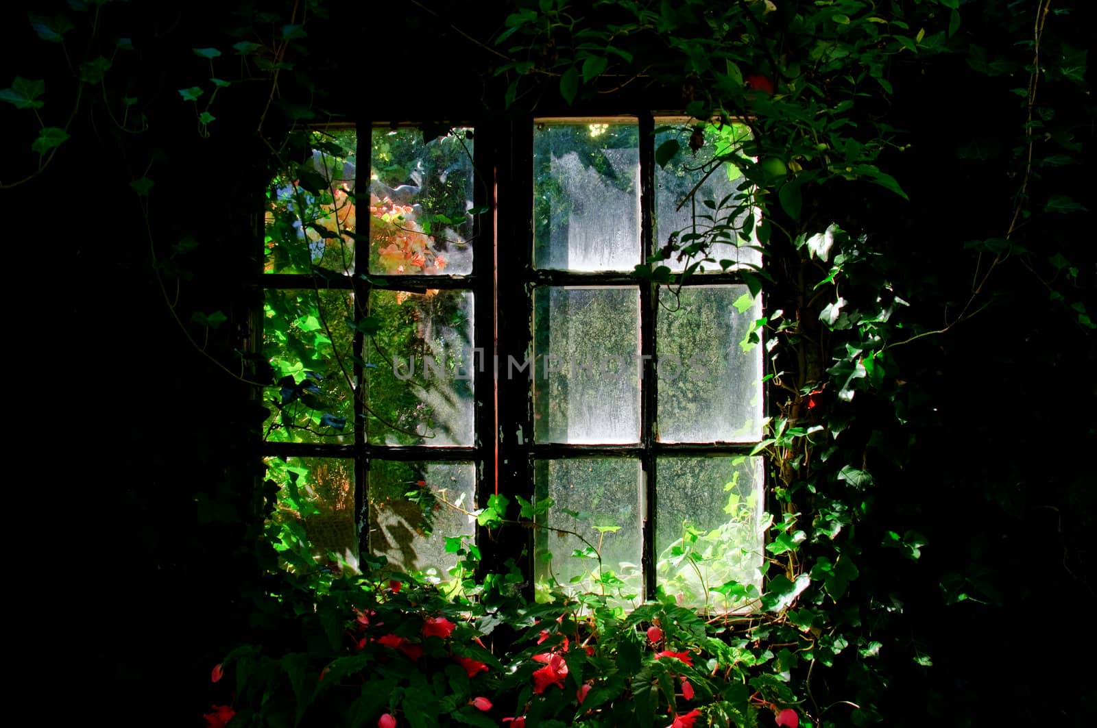 Romantic window by GryT