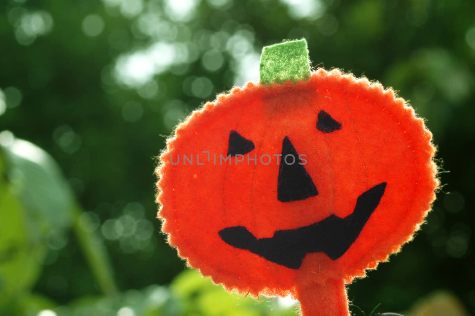 Halloween pumpkin Jack O-lantern backlit outdoor