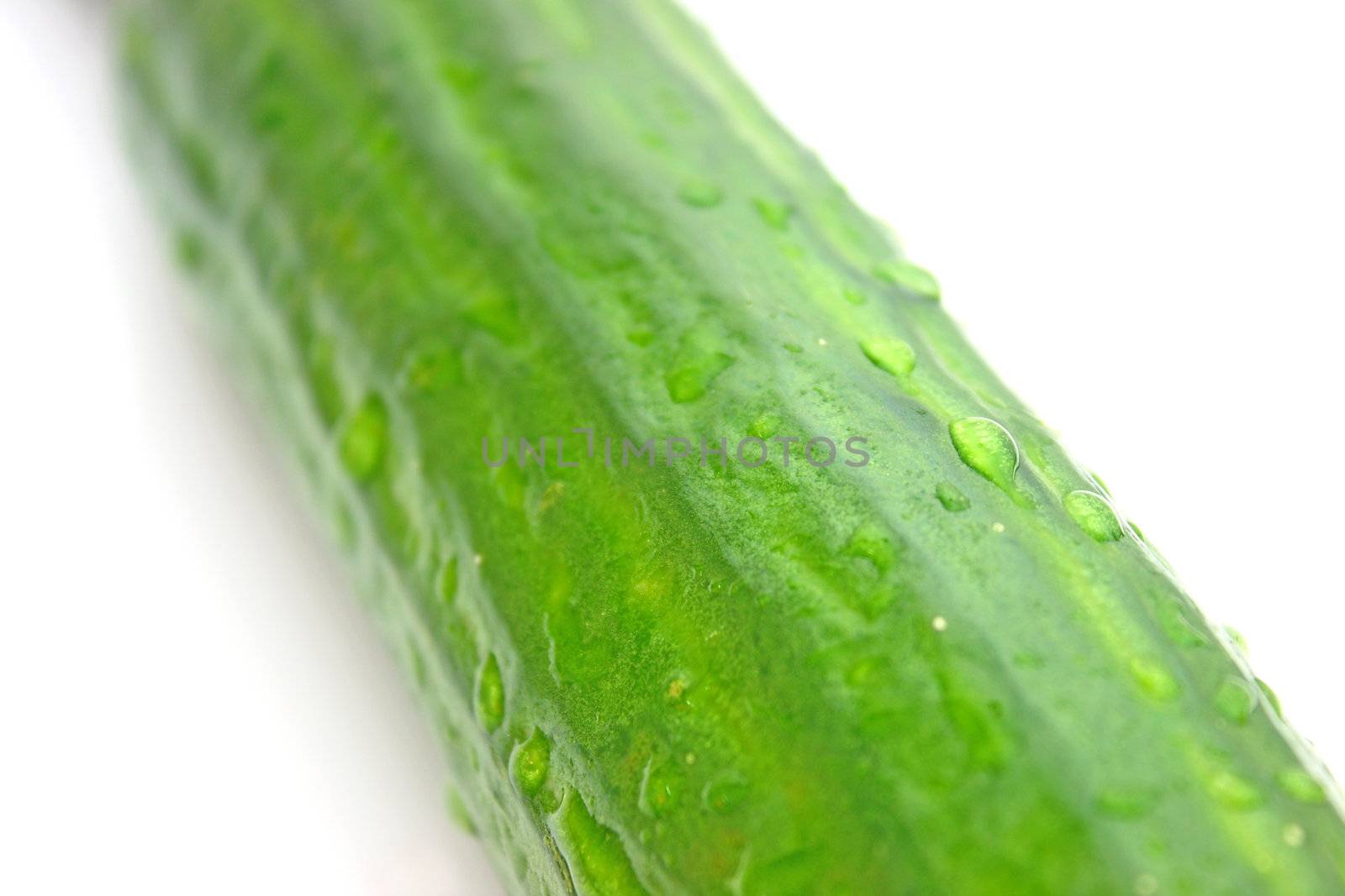 Cucumber